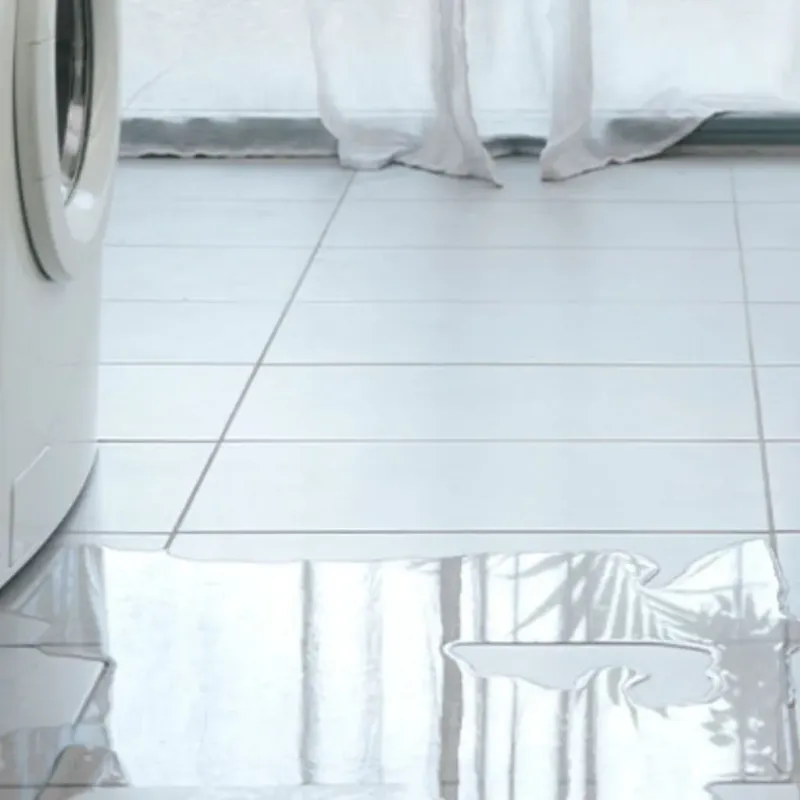 Appliance Leak Cleanup in Linden, MI