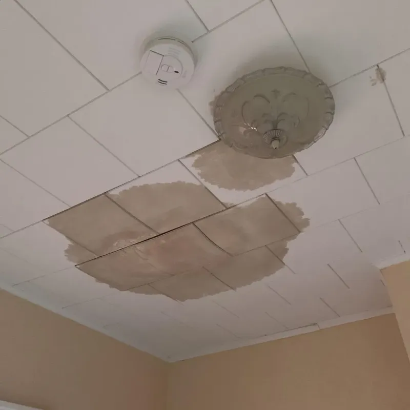 Ceiling Water Damage Repair in Linden, MI