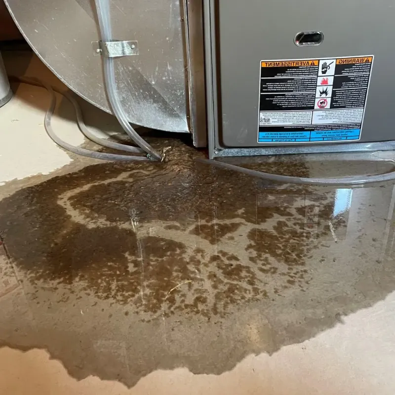 Pipe Burst and Leak Restoration in Linden, MI