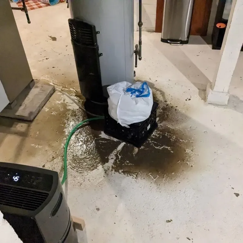 Sewage Backup Cleanup Service in Linden, MI